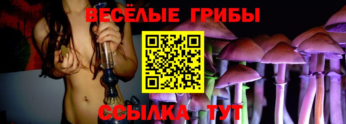 Белебей  Псилоцибиновые грибы прущие грибы  купить наркоту  Псилоцибиновые грибы Psilocybe  Вход с VPN 